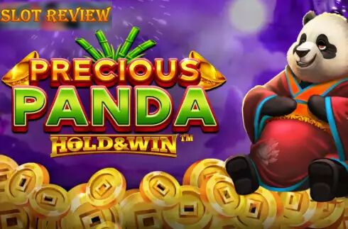 Precious Panda Hold & Win slot